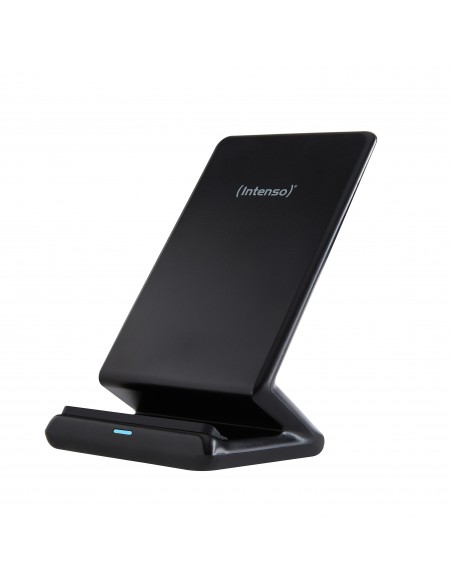 Intenso BSA1 Negro Interior