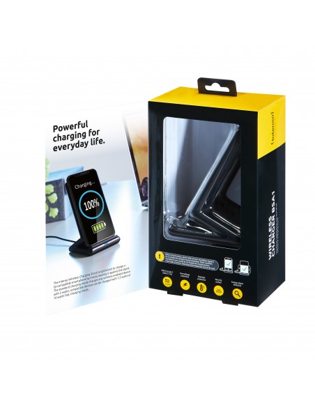 Intenso BSA1 Negro Interior