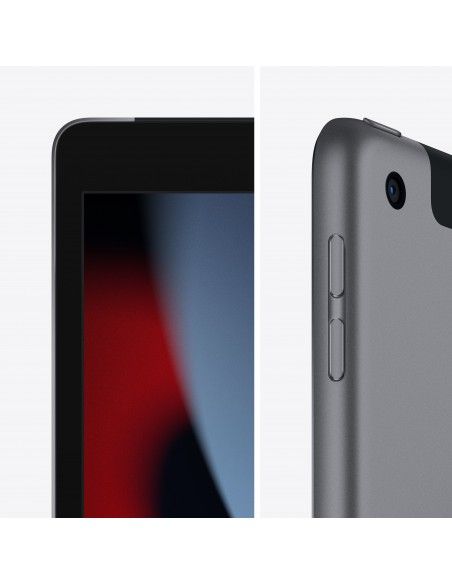 Apple iPad 4G LTE 64 GB 25,9 cm (10.2") Wi-Fi 5 (802.11ac) iPadOS 15 Gris