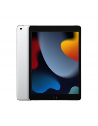 Apple iPad 4G LTE 256 GB 25,9 cm (10.2") Wi-Fi 5 (802.11ac) iPadOS 15 Plata