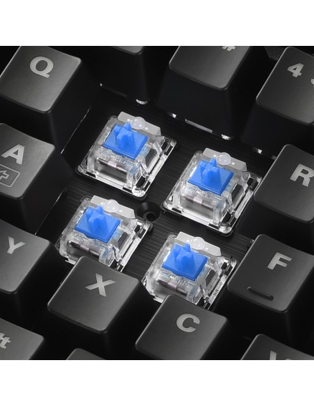 Sharkoon SKILLER SGK30 teclado USB QWERTY Portugués Negro