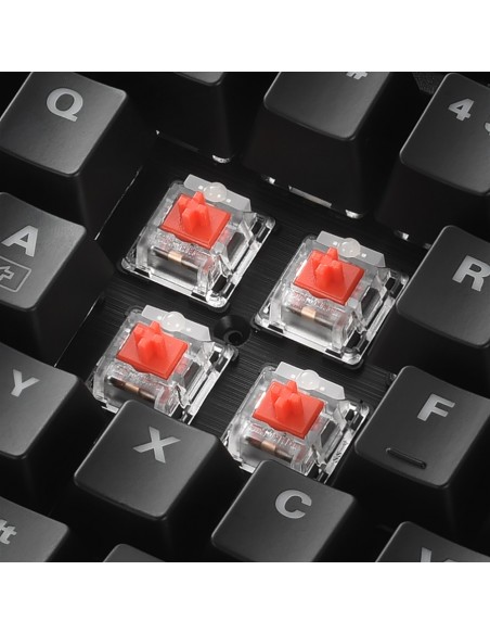 Sharkoon SKILLER SGK30 teclado USB QWERTY Portugués Negro