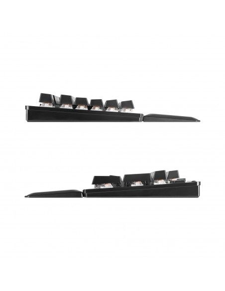 EVGA Z15 RGB teclado USB Negro