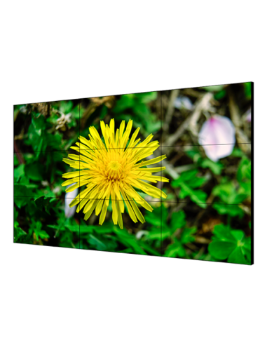 Hikvision Digital Technology DS-D2055HE-G pantalla mural de vídeo LCD - Imagen 1