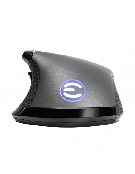 EVGA X17 ratón mano derecha USB tipo A Óptico 16000 DPI