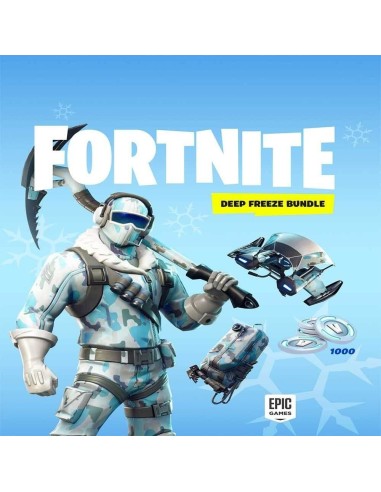 Warner Bros. Games Fortnite   Pack Froid Eternel Bundle PlayStation 4