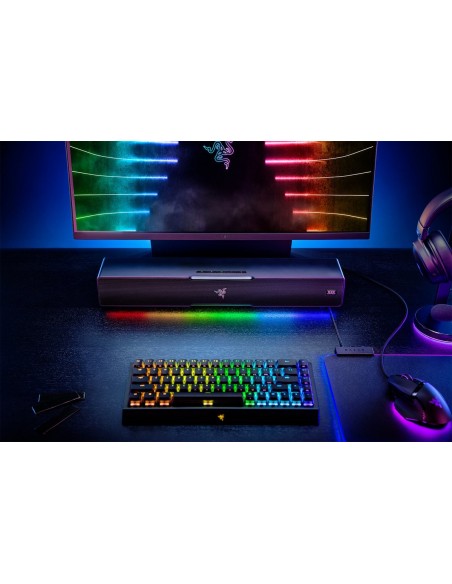 Razer Leviathan V2