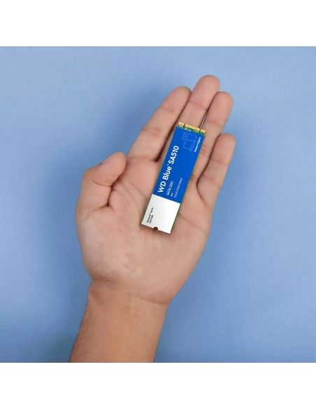 Western Digital Blue SA510 M.2 250 GB Serial ATA III