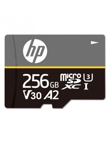 PNY HFUD256-MX350 memoria flash 256 GB MicroSD Clase 10