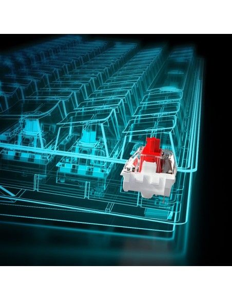 Sharkoon SGK50 S4 teclado USB QWERTY Español Blanco