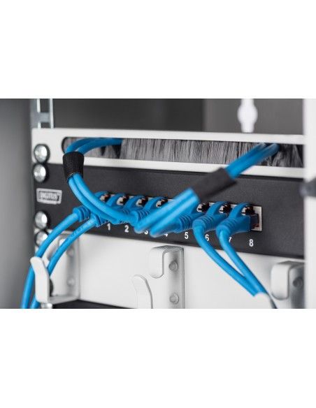 Digitus Entrada de cable de 254 mm (10")