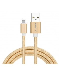 Eightt ECI-2G cable de conector Lightning 1 m Oro