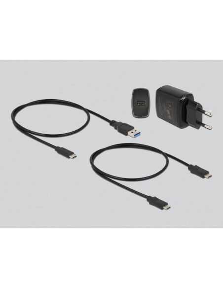 DeLOCK 63334 base de conexión para disco duro USB 3.2 Gen 2 (3.1 Gen 2) Type-C Negro