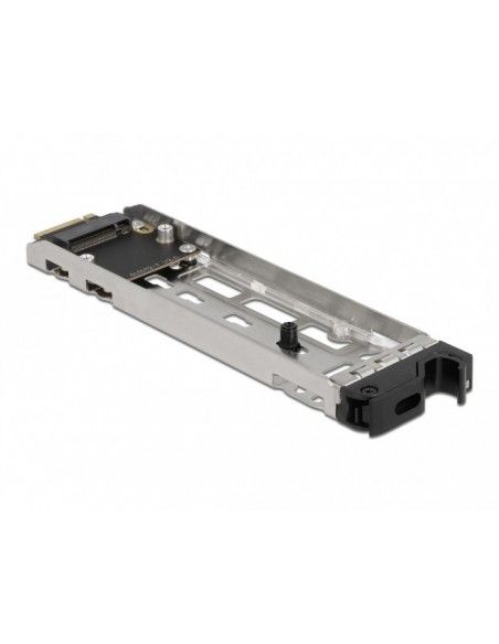 DeLOCK 47003 tarjeta y adaptador de interfaz Interno M.2
