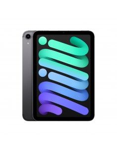 Apple iPad mini 5G TD-LTE & FDD-LTE 256 GB 21,1 cm (8.3") 4 GB Wi-Fi 6 (802.11ax) iPadOS 15 Gris