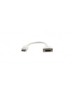 Kramer Electronics DP - DVI-I 0.3m 0,3 m DisplayPort Blanco