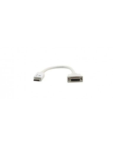 Kramer Electronics DP - DVI-I 0.3m 0,3 m DisplayPort Blanco