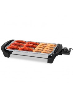 PLANCHA ELECTRICA CECOTEC ROCK AND WATER 2000