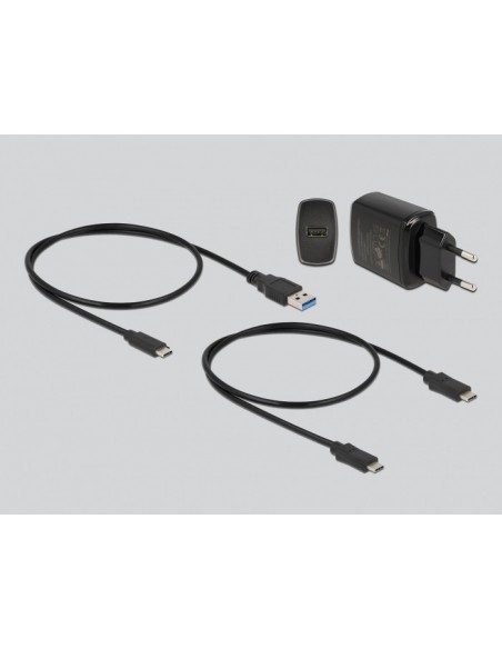 Delock M.2 Estación de acoplamiento para 2 x M.2 S