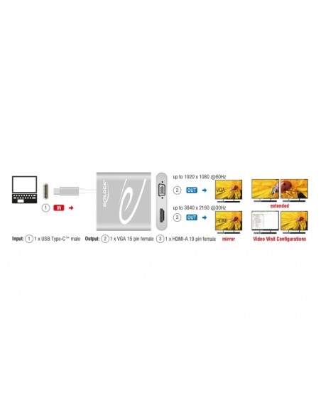 DeLOCK 87705 divisor de video HDMI VGA