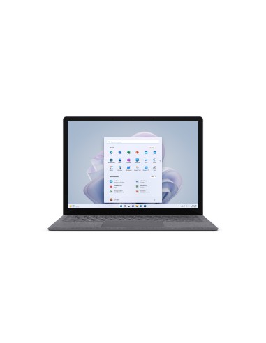 LAPTOP5 I5 8G 256G PLAT ES 13.5 W11HOME