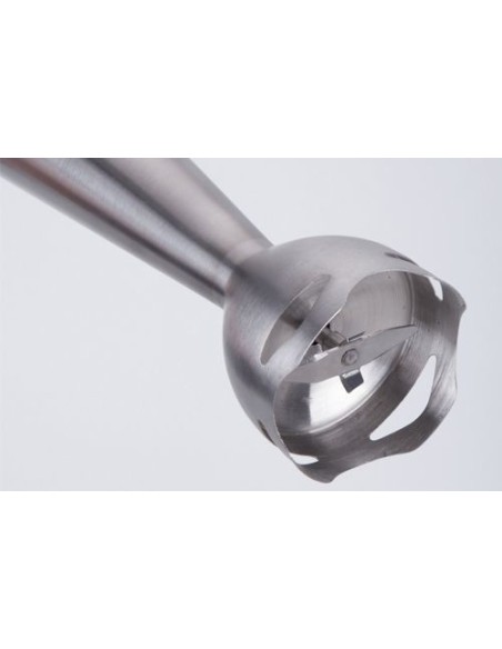 JATA BT176 licuadora Batidora de inmersión 1000 W Negro, Nar