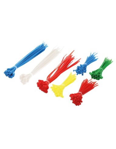 HERRAMIENTA BRIDA KIT 300UDS 100MM x 2.5MM 200.U 100mm 100.