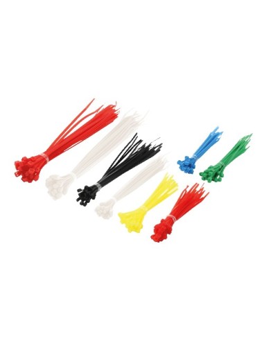 HERRAMIENTA BRIDA KIT 100UDS 100MM x 2.5MM KAB0018 ABRAZADE