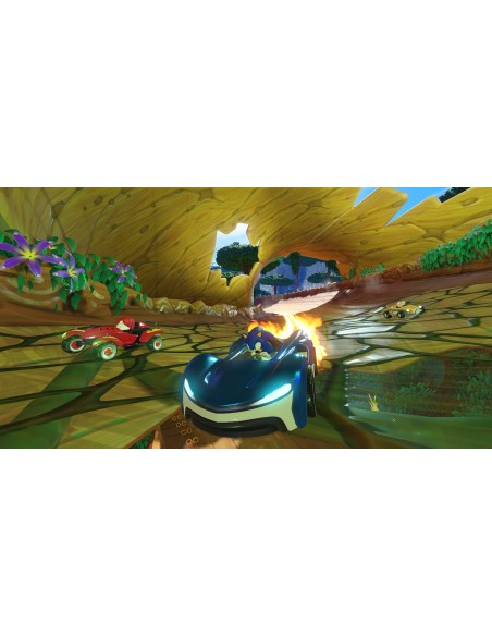 Nintendo Team Sonic Racing, Switch vídeo juego Nintendo Switch Básico