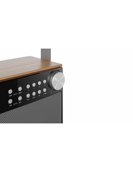 Sharp DR-P355 radio Portátil Digital Negro, Madera