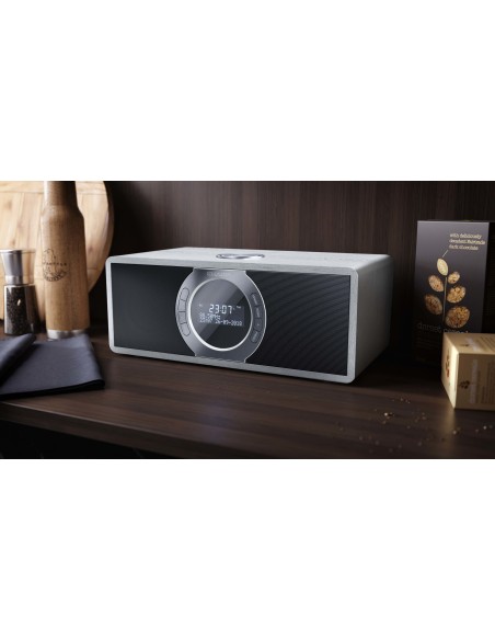 Sharp DR-S460 Personal Digital Gris