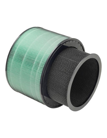 LG AAFTDT101 filtro de aire 1 pieza(s)