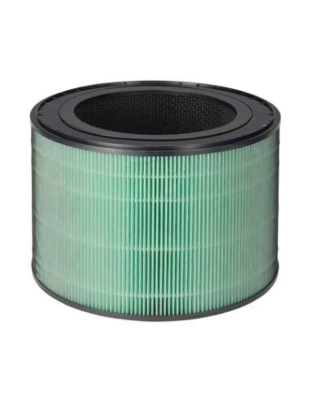 LG AAFTDT101 filtro de aire 1 pieza(s)