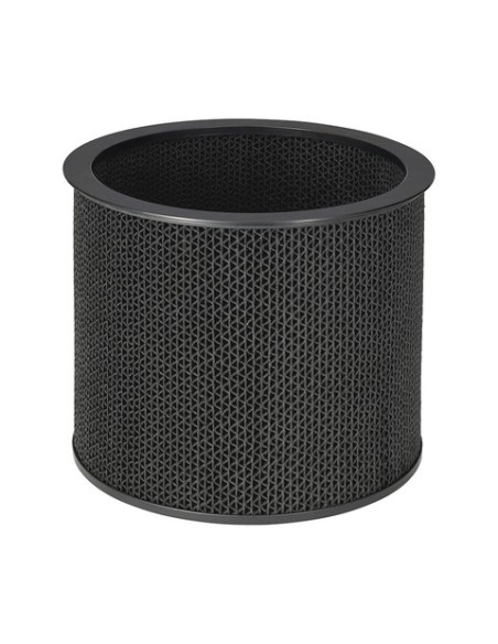 LG AAFTDT101 filtro de aire 1 pieza(s)