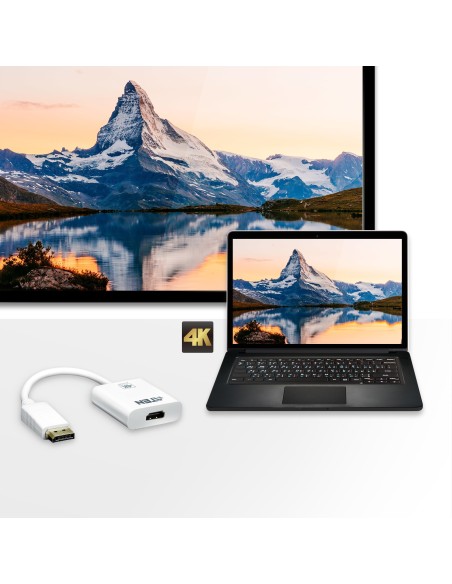 Aten DisplayPort HDMI DisplayPort Male HDMI Type A Female Blanco