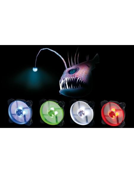 CoolBox Deep Wind 120mm Carcasa del ordenador Ventilador 12 cm Negro, Azul