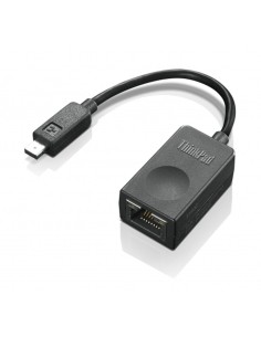 Lenovo 4X90F84315 tarjeta y adaptador de interfaz RJ-45