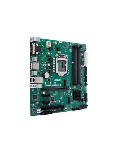 ASUS B360M-C Intel® B360 LGA 1151 (Zócalo H4) micro ATX
