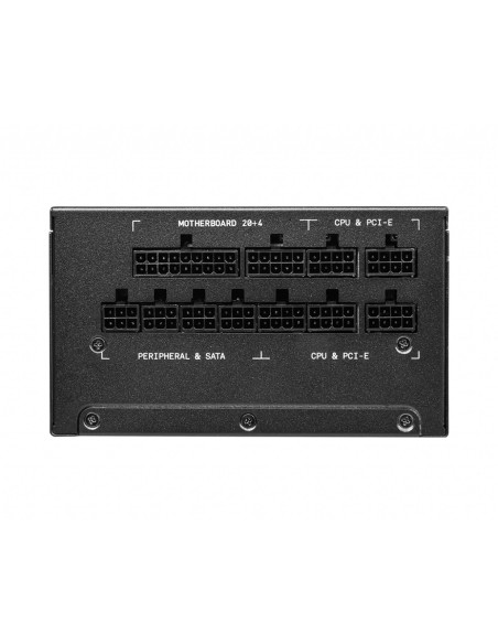 MSI PSU MPG A1000G unidad de fuente de alimentación 1000 W 20+4 pin ATX ATX Negro