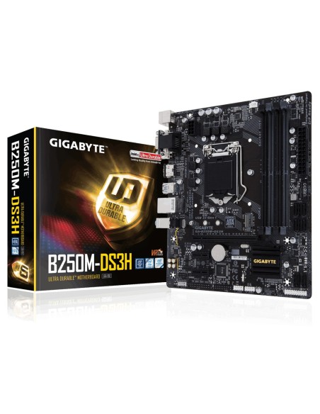 Gigabyte GA-B250M-DS3H placa base Intel® B250 LGA 1151 (Zócalo H4) micro ATX