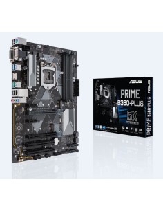 ASUS PRIME B360-PLUS Intel® B360 LGA 1151 (Zócalo H4) ATX