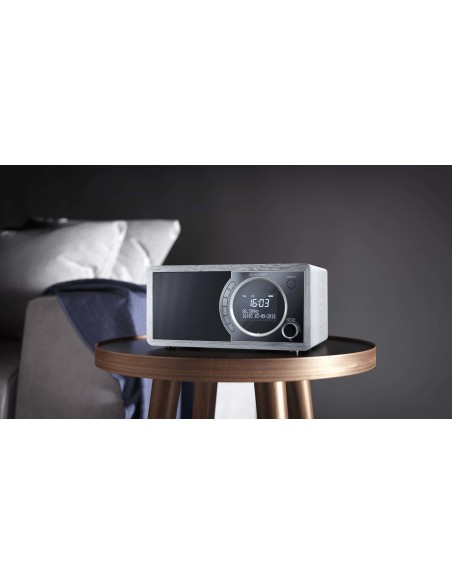 Sharp DR-450 Personal Digital Gris, Acero inoxidable