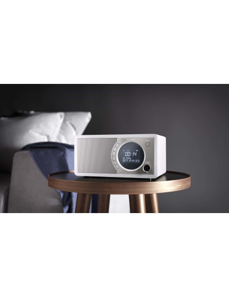 Sharp DR-450 Personal Digital Acero inoxidable, Blanco