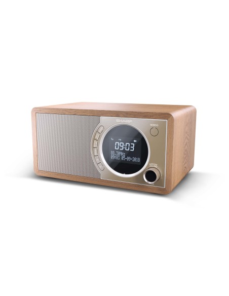 Sharp DR-450 Personal Digital Marrón, Acero inoxidable