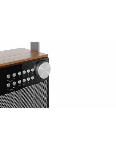 Sharp DR-P350 radio Portátil Digital Negro, Madera