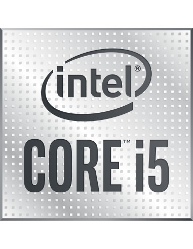 Intel Core i5 10600