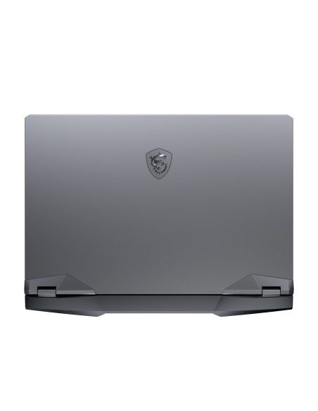 MSI Gaming GE66 10SF-296XES Raider Portátil 39,6 cm (15.6") 1920 x 1080 Pixeles Intel® Core™ i7 de 10ma Generación 32 GB