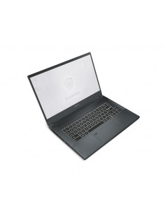 MSI Workstation WS66 10TM-279ES DDR4-SDRAM Estación de trabajo móvil 39,6 cm (15.6") 3840 x 2160 Pixeles Intel® Core™ i9 de