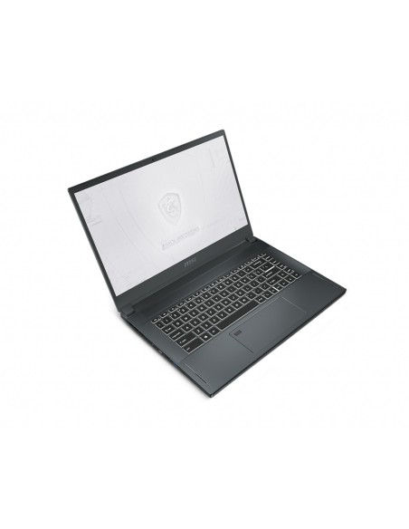 MSI Workstation WS66 10TK-482XES ordenador portatil Estación de trabajo móvil 39,6 cm (15.6") Full HD Intel® Core™ i7 de 10ma