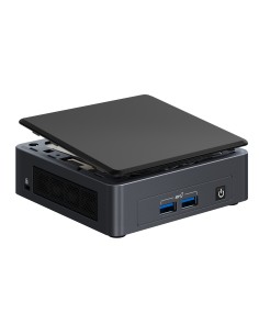 Intel NUC 11 Pro UCFF Negro i7-1165G7